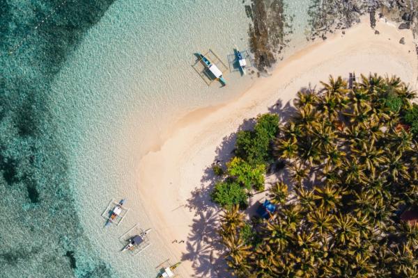 Photo by Alejandro Luengo on Unsplash
